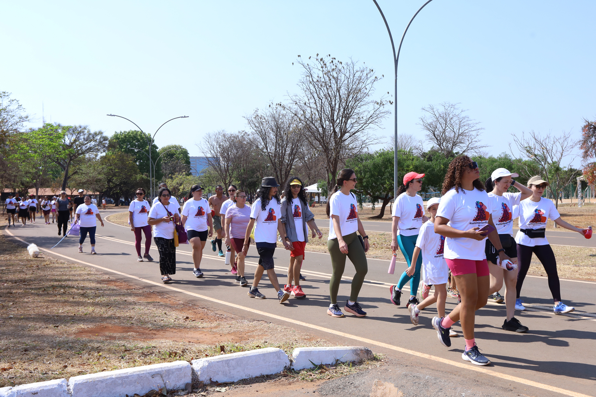 Capa da notícia: Caminhada mobiliza comunidade e reforça alerta sobre tumores ginecológicos no DF