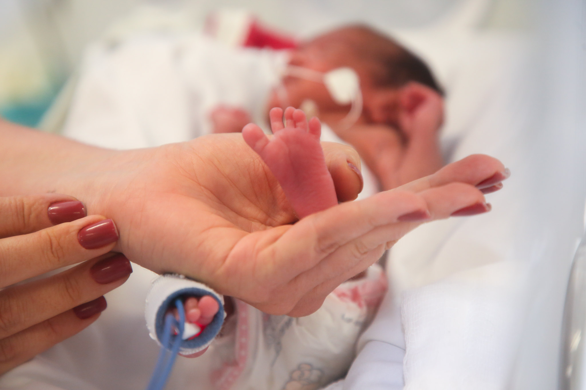Capa da notícia: Abertas vagas para a contratação de 200 médicos generalistas e 50 neonatologistas