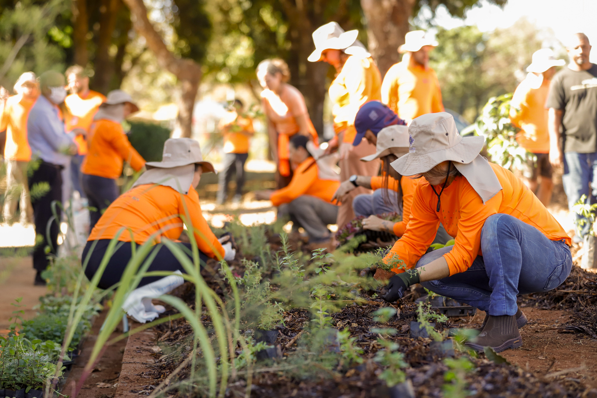 Capa da notícia: Centro de assistência social de Ceilândia recebe Horto Agroflorestal