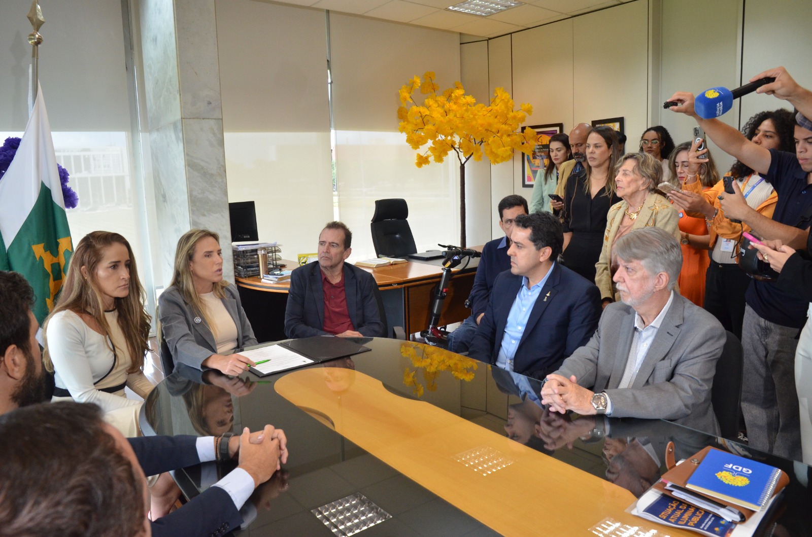 Capa da notícia: Celina Leão assina projeto para implantar Centro de Reabilitação Neuromotora com exoesqueletos inteligentes