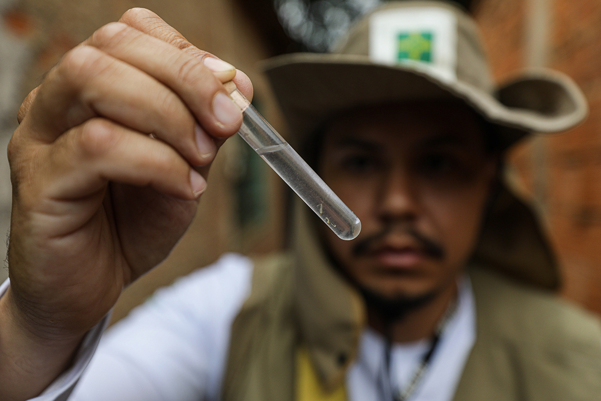 Capa da notícia: Água Quente recebe ação integrada do GDF de combate à dengue
