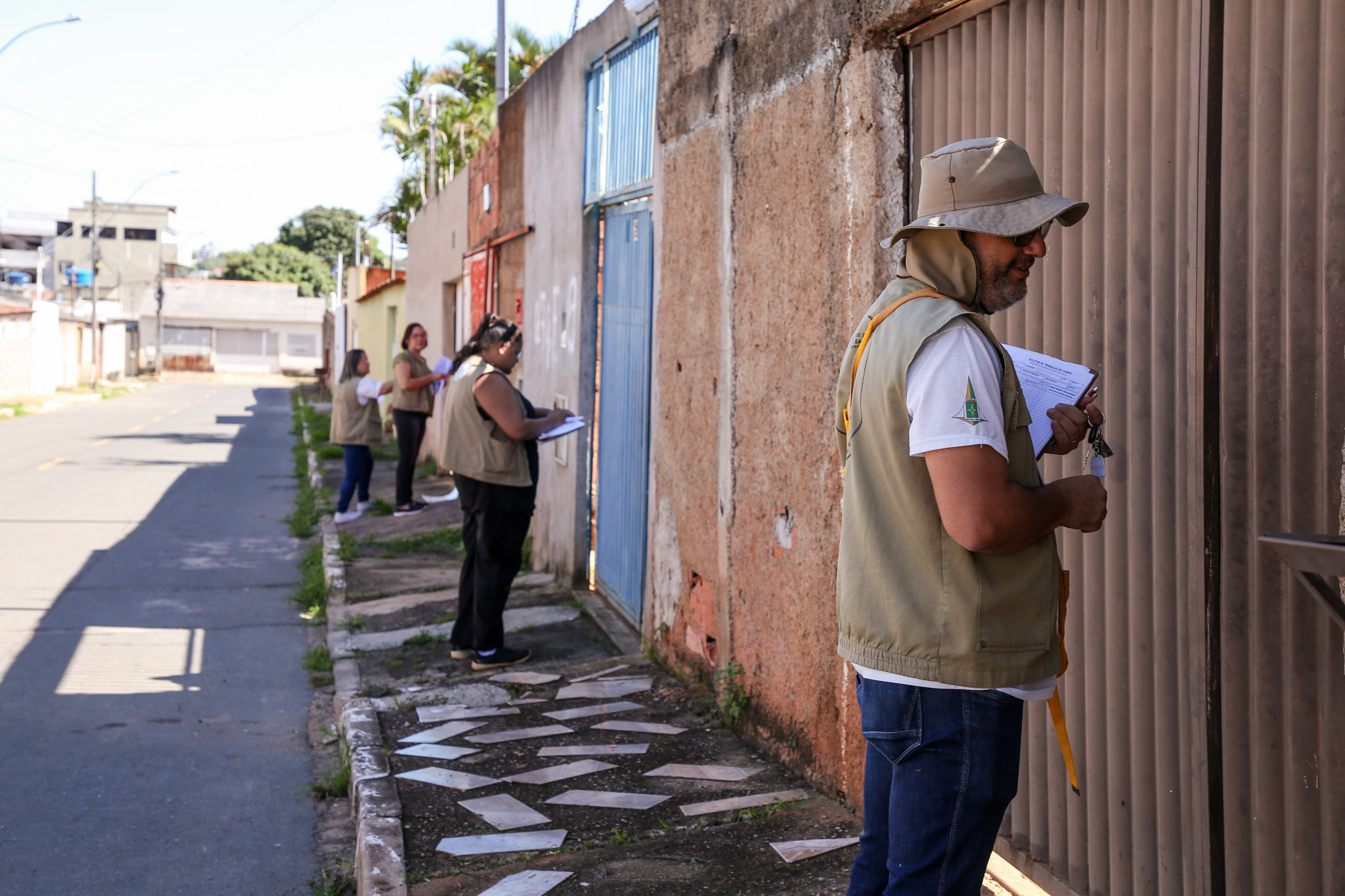 Capa da notícia: DF tem queda 81% do número de casos de dengue frente a 2023