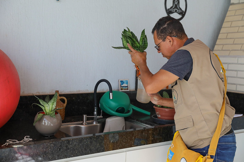 Capa da notícia: DF registrou redução de 96% nos casos prováveis de dengue em 2025