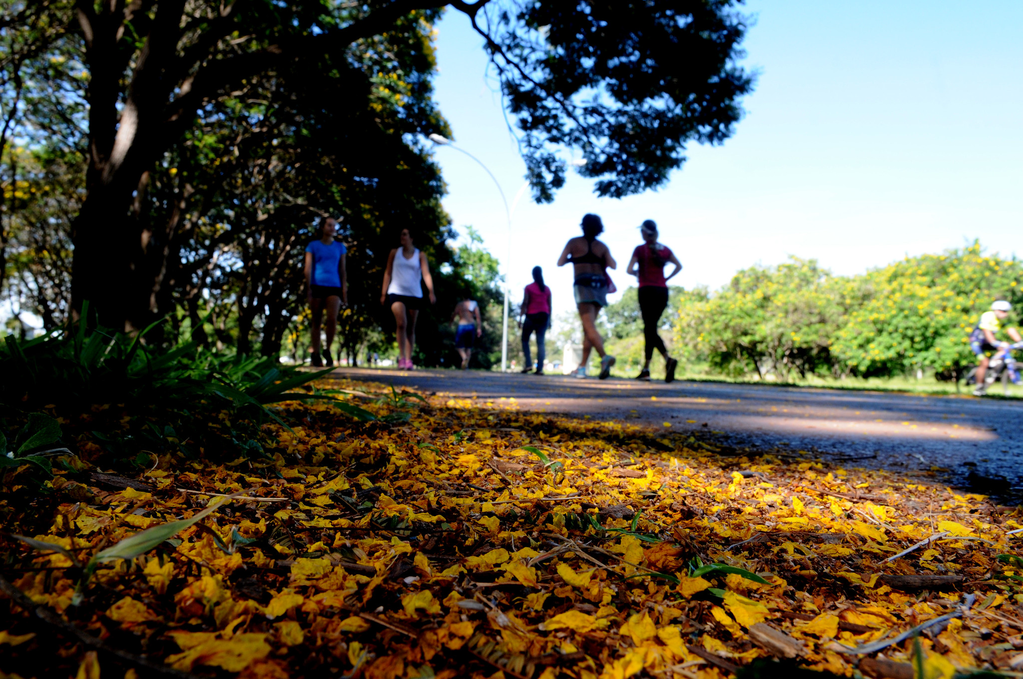 Capa da notícia: Saúde promove caminhada de conscientização sobre cânceres ginecológicos no Parque da Cidade