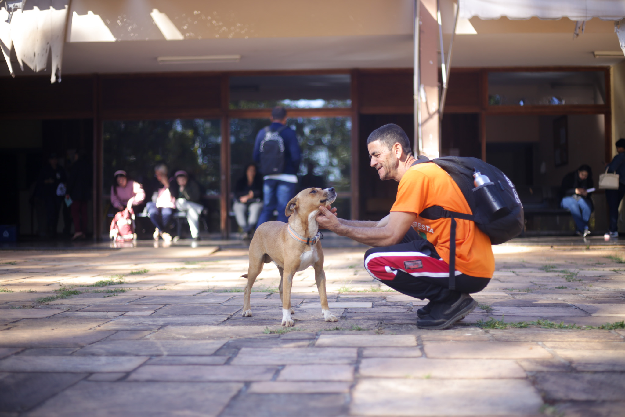 Capa da notícia: Caramelo do Caps: amigo de quatro patas conquistou corações