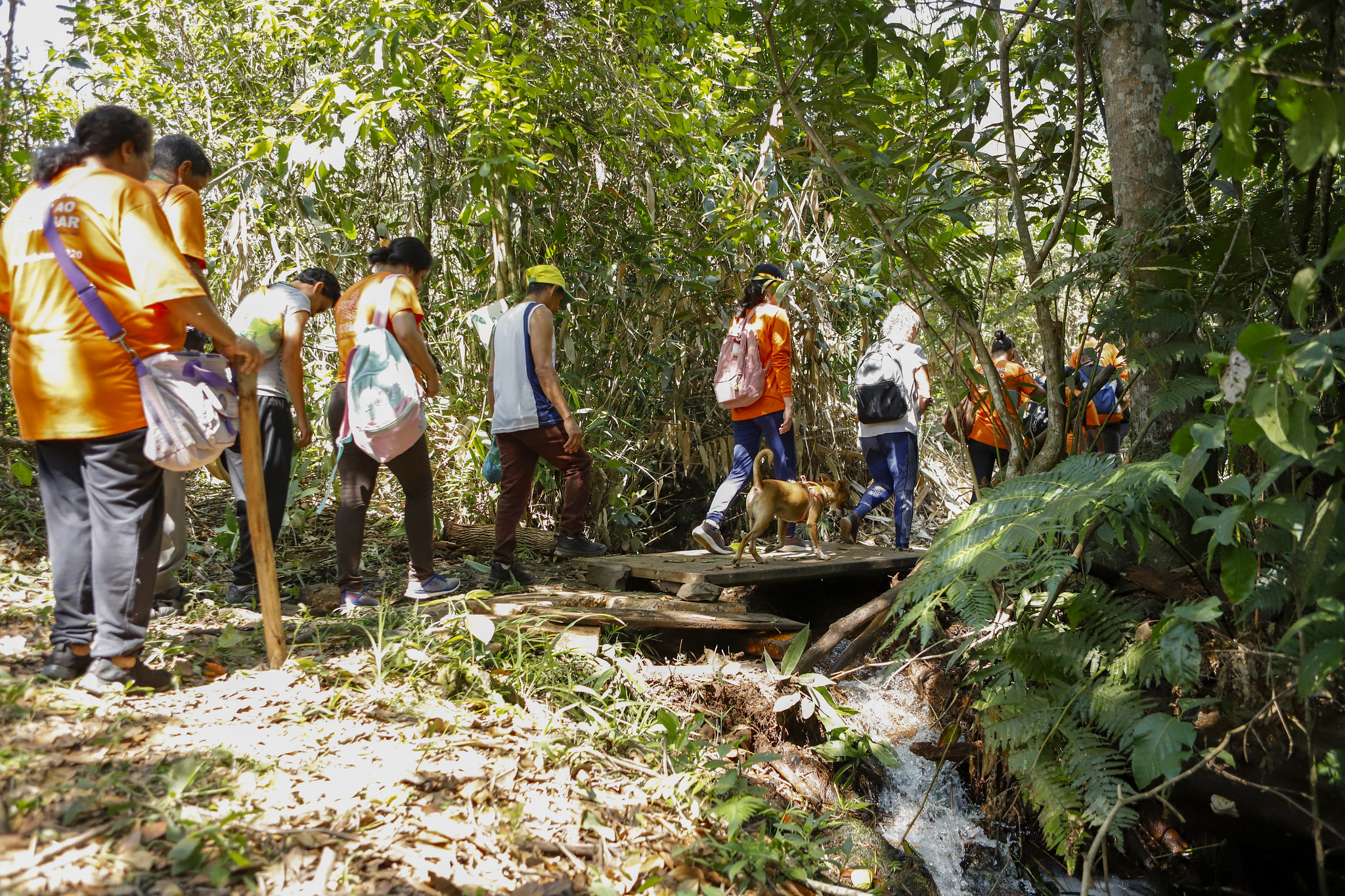 Capa da notícia: Natureza como terapia: Cerrado auxilia na recuperação emocional