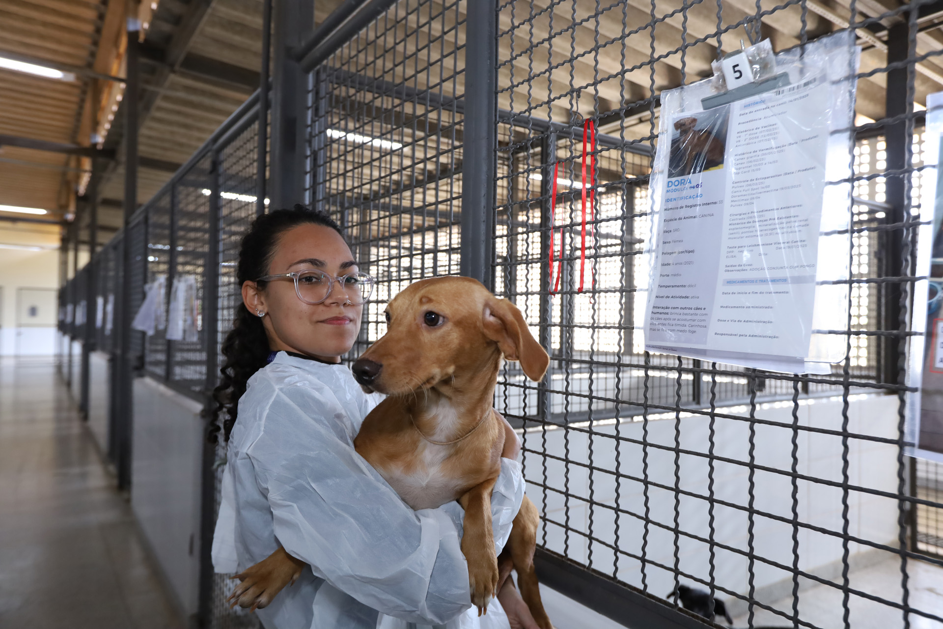 Capa da notícia: Julho Dourado alerta para importância da vacinação de pets e prevenção de zoonoses