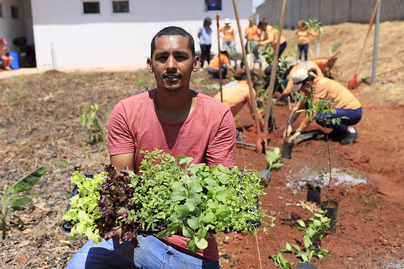 Capa da notícia: Horto Agroflorestal Medicinal é inaugurado na UBS 1 do Jardins Mangueiral