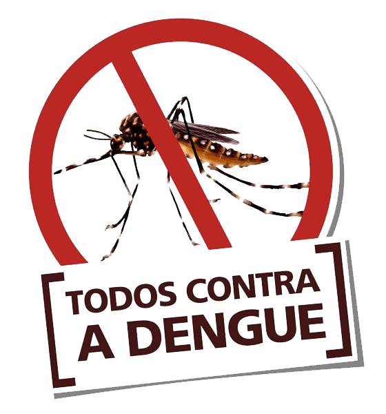 mosquito