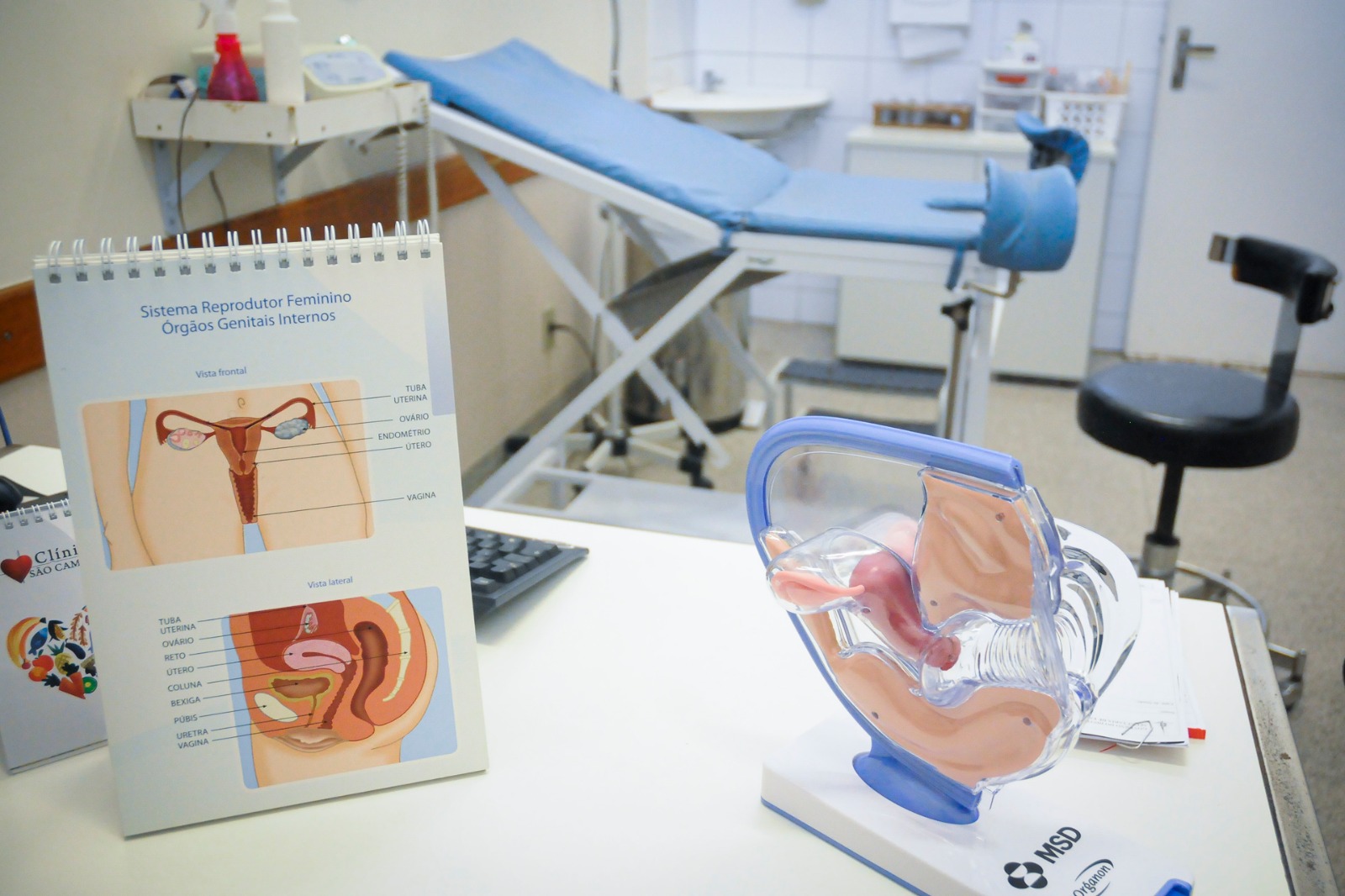 Capa da notícia: Endometriose atinge cerca de 10% das mulheres e pode causar infertilidade