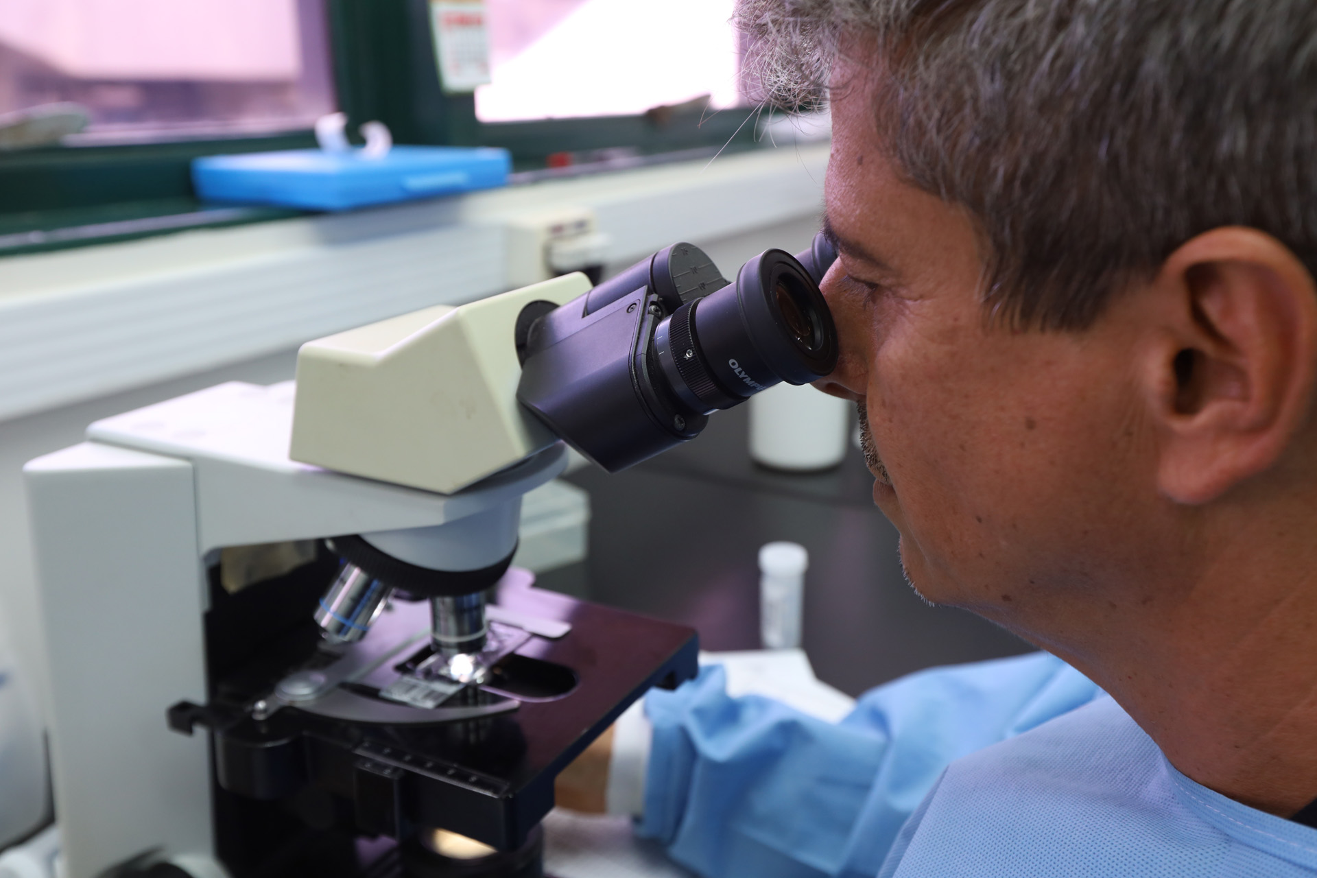 Capa da notícia: Lacen-DF adquire insumos para maior precisão nos diagnósticos de Chagas e sífilis