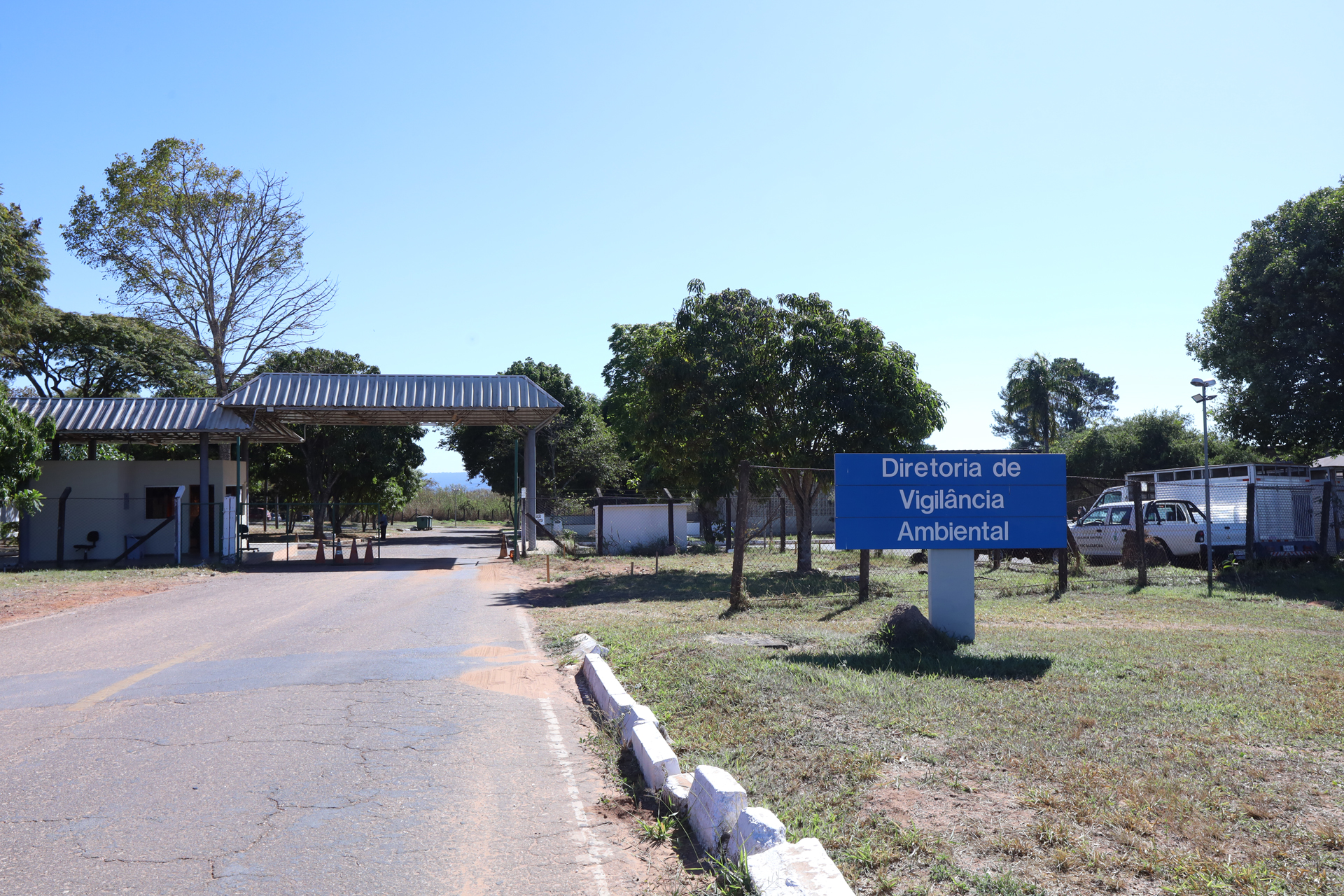 Capa da notícia: Zoonoses recolheu quase mil corpos de animais em 2025