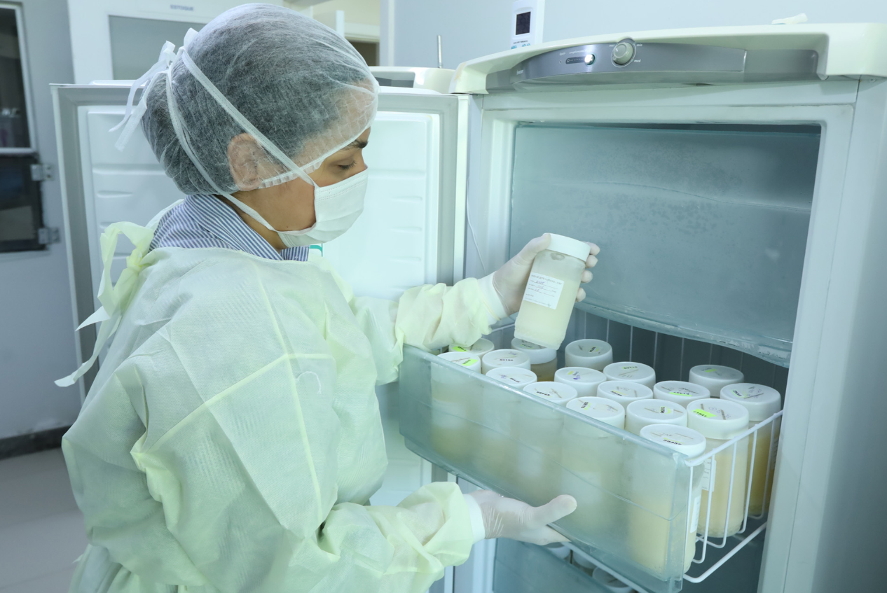 Capa da notícia: Banco de Leite Humano: média de coleta mensal em 2025 ficou abaixo da meta