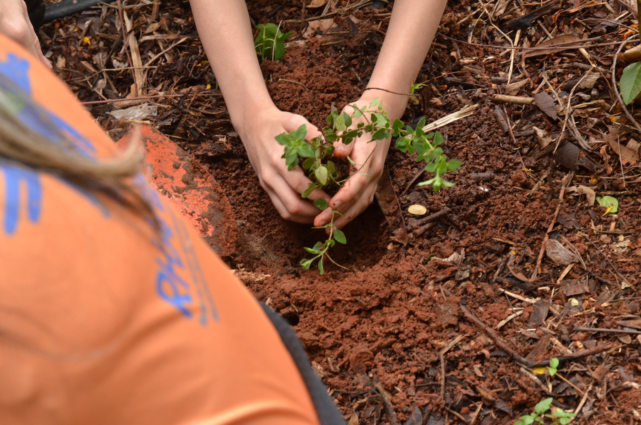Capa da notícia: Crianças fazem visita guiada a horto da Subsecretaria de Vigilância à Saúde